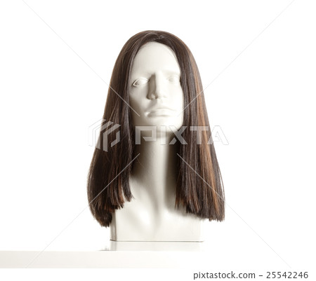 Mannequin Head with Wig. Mannequin Head with Wig. 25542246