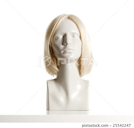 Mannequin Head with Wig. Mannequin Head with Wig. 25542247