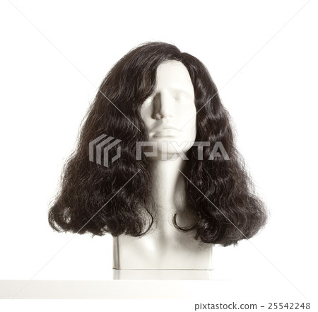 Mannequin Head with Wig. Mannequin Head with Wig. 25542248