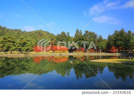 Heritage Heritage World Heritage Hikietsuji in autumn leaves Heritage Heritage World Heritage Hikietsuji in autumn leaves 25543638
