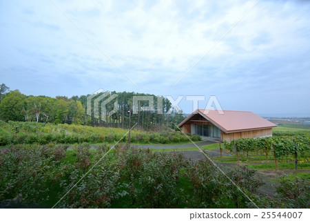 Campana Rokkatei Veranda的葡萄園 25544007