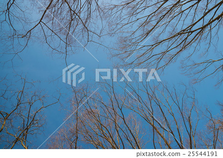 冬季風光 冬季風光 25544191