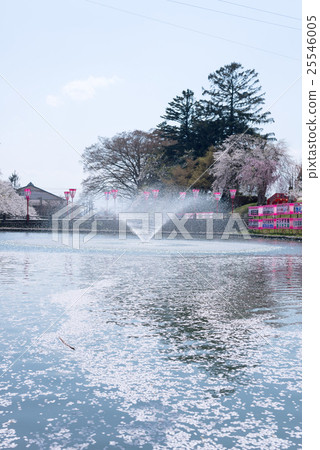 新莊市Mogami Park 25546005