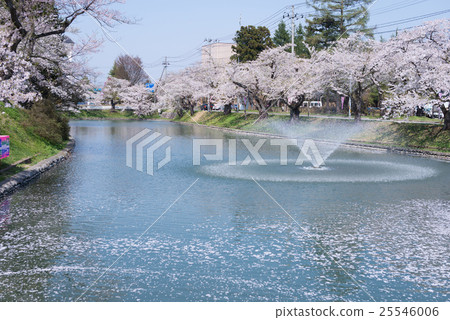 新莊市Mogami Park 25546006