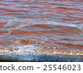 red tide red tide 25546023