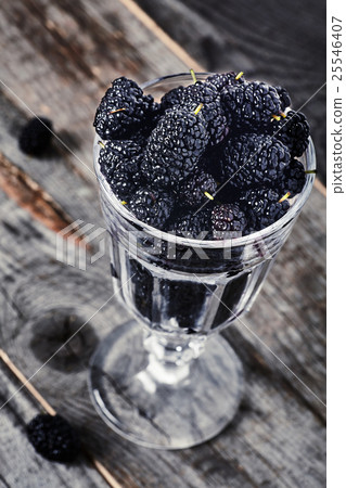 Ripe mulberries in wine glass 25546407