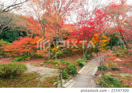 秋天寶箱 25547300