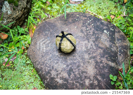 Stone Stone 25547369