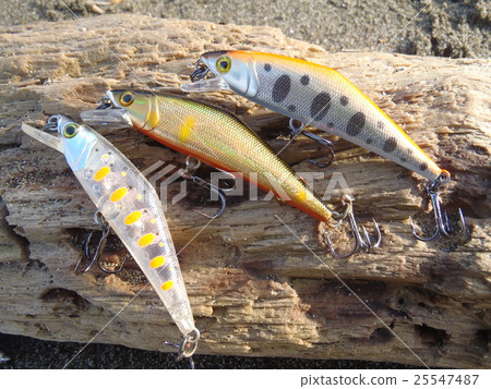 鱒魚，用於海餌釣魚的小插頭 25547487