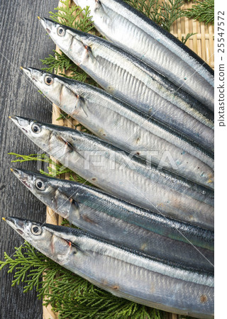 秋天的香魚 25547572