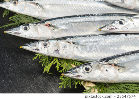 秋天的香魚 25547574