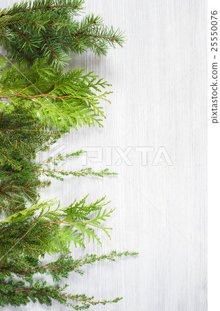 White wooden background with evergreen branches 25550076