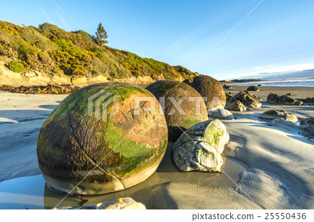Moeraki Boulders on the Koekohe beach, New Zealand Moeraki Boulders on the Koekohe beach, New Zealand 25550436