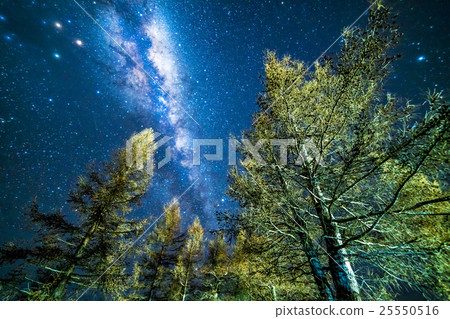Milky way Milky way 25550516