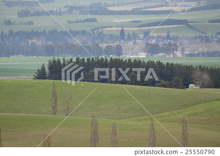 beautiful area of Fairlie 25550790