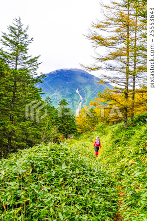Road leading to Tateshina (vertical) 25553643
