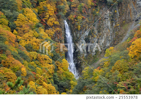 Shiga Kogen Hakumi Falls Shiga Kogen Hakumi Falls 25553978