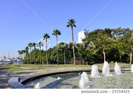 Exotic drift, sea breeze park 25554425