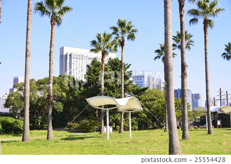 Exotic drift, sea breeze park 25554428