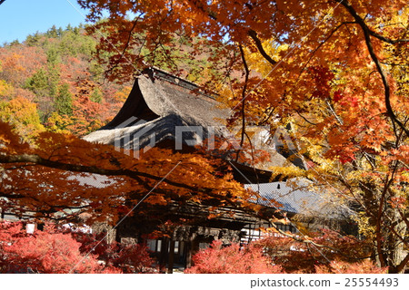 Autumn Spirit Song Matsu Temple Autumn Spirit Song Matsu Temple 25554493