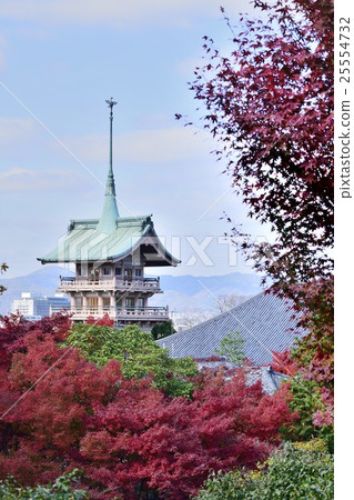 Bronze Temple Cypress Creek Gion Autumn Autumn leaves Kyoto 25554732