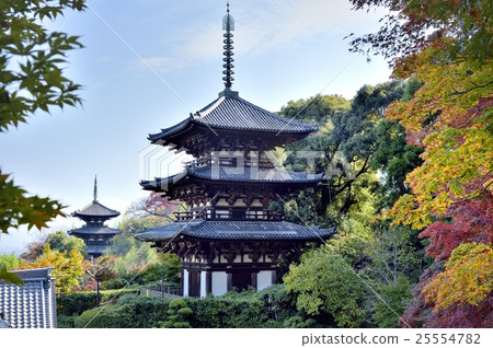 丹波國寶三重塔秋葉 25554782