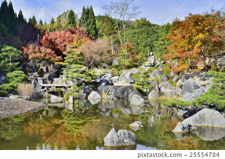 Tenzaji淨土地庭院秋天色的葉子 Tenzaji淨土地庭院秋天色的葉子 25554784