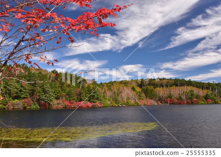 長野縣·Yatsugatake的白片塘 長野縣·Yatsugatake的白片塘 25555335