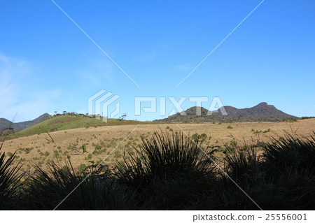 Houghton Plains National Park Houghton Plains National Park 25556001