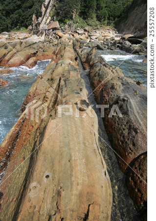 Kochi Prefecture Tosashimizu City Tatsumo Coast Otake Kotake 25557208