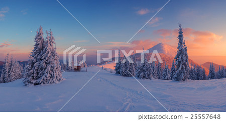 landscape 25557648