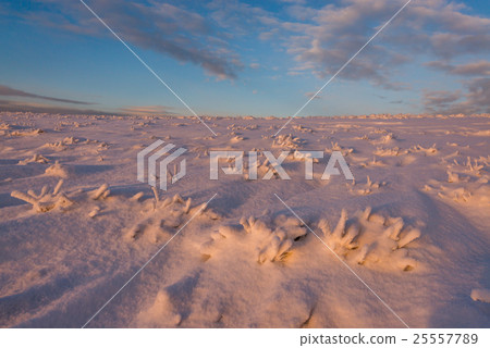 landscape 25557789