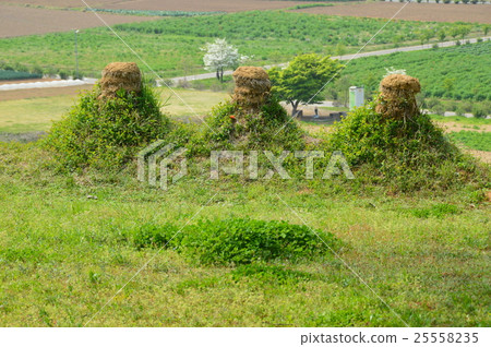 Inomata hundred light (Saitama kotama gun Misato cho Inomata) 25558235