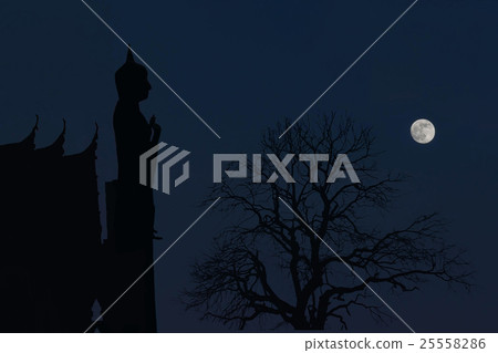 Abstract silhouette soft blurred and soft focus of 25558286