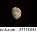 Moon  25558644