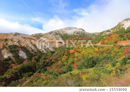Autumn leaves of Mt.Aigakusama (Bandai Azuma Skyline) 25559098