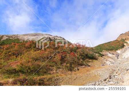 Autumn leaves of Mt.Aigakusama (Bandai Azuma Skyline) 25559101