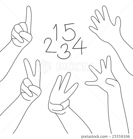 hands and fingers. 25559106