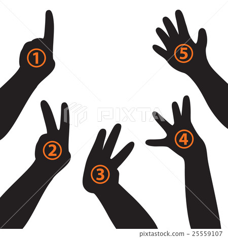 hands and fingers. 25559107