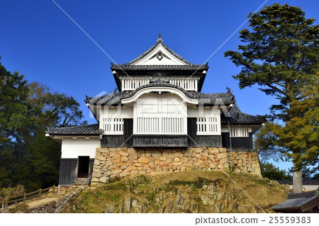 Bicense Matsuyama castle castle tower 25559383