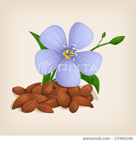 Brown flax seeds with flowers and leaves. Vector 25560180