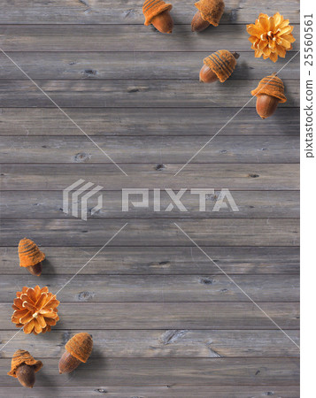 秋天背景 25560561