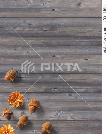 Autumn background 25561693