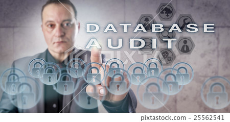 Data Administrator Activating DATABASE AUDIT 25562541