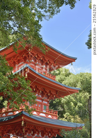 Sumadera三重塔 25562829