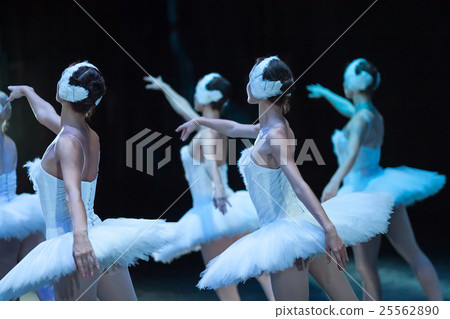 Ballet swan lake. statement. Ballerinas in the 25562890