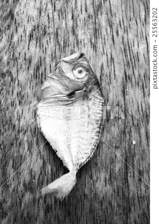 Dried fish Dried fish 25563202