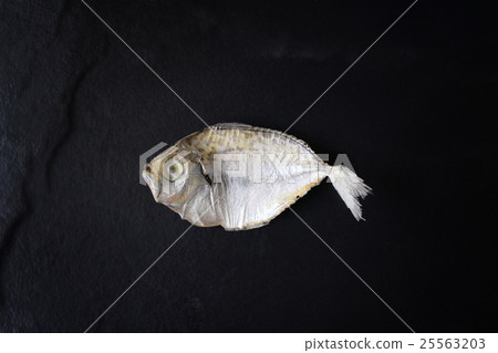 Dried fish isolated Dried fish isolated 25563203