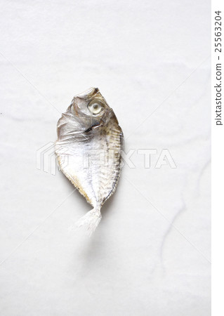 Dried fish isolated Dried fish isolated 25563204