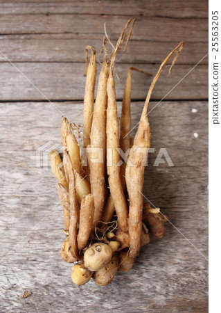 Fingerroot Fingerroot 25563205